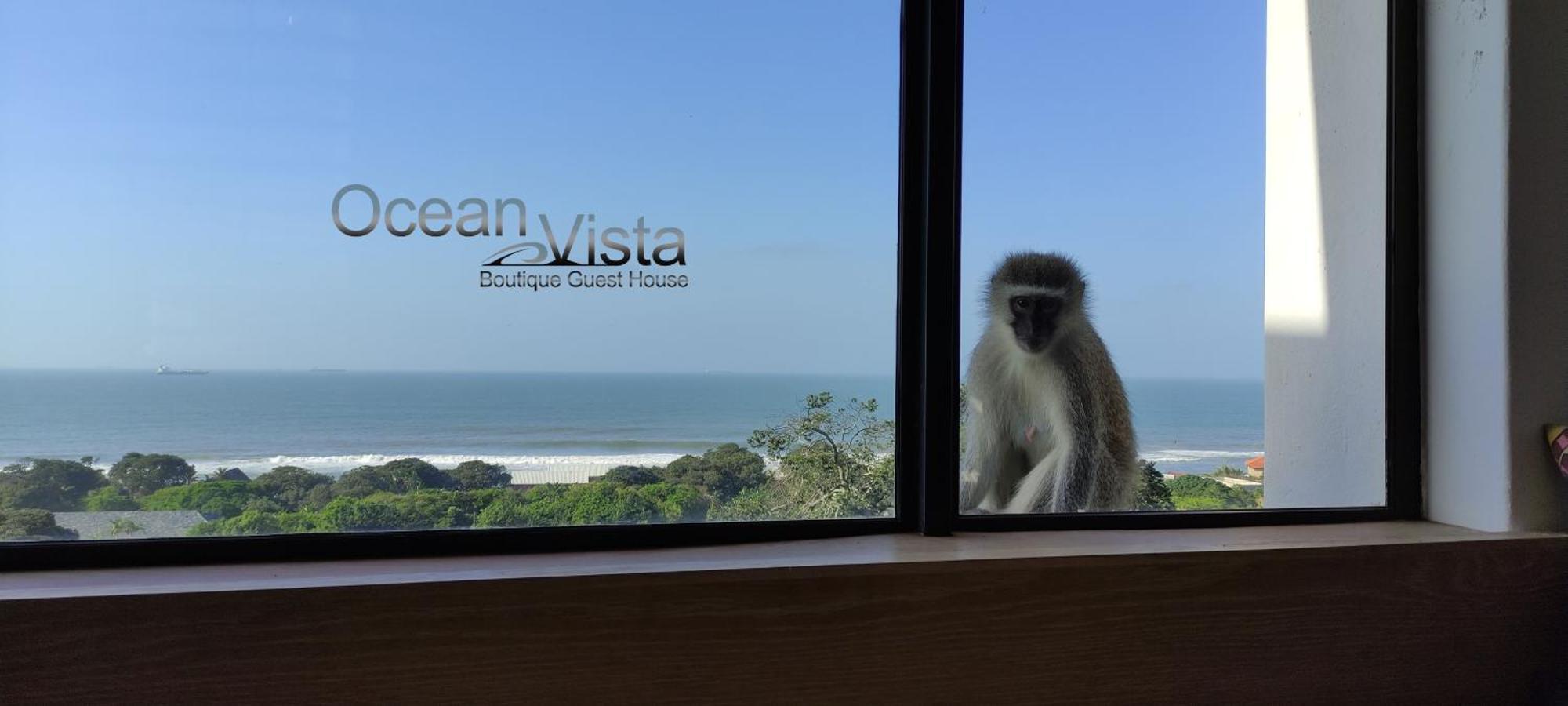 Ocean Vista Boutique Guest House Durban Exterior foto